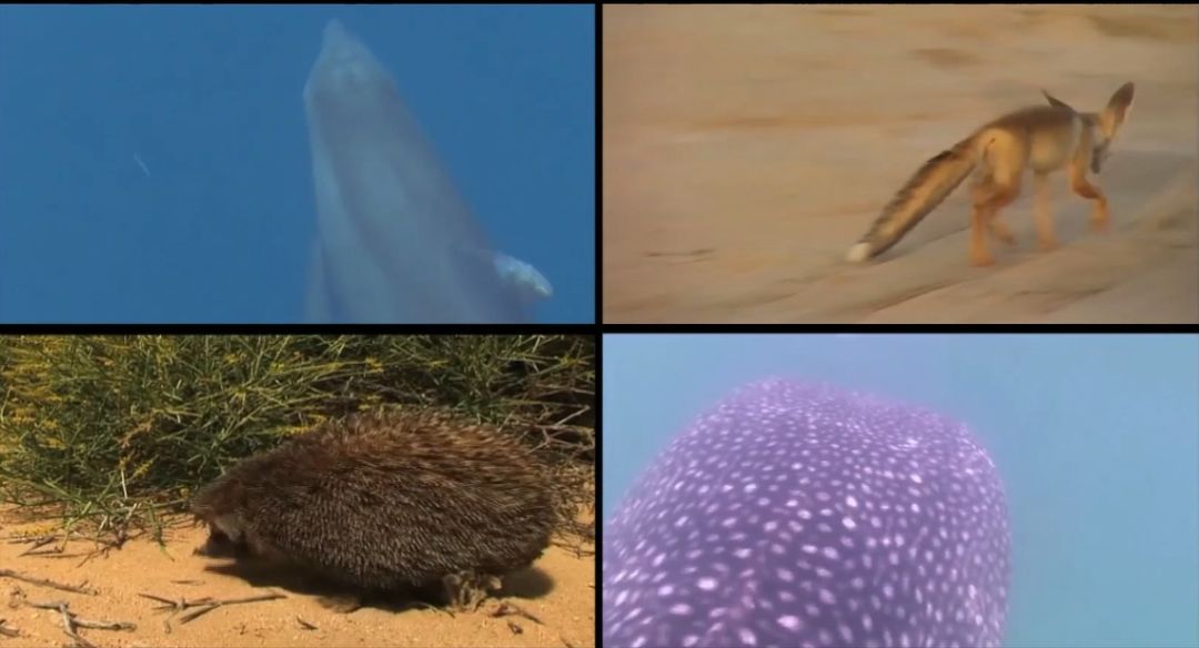 首页- Z6官网中国区人生就是博