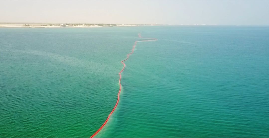 首页- Z6官网中国区人生就是博