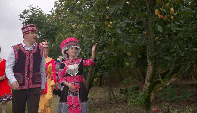 首页- Z6官网中国区人生就是博