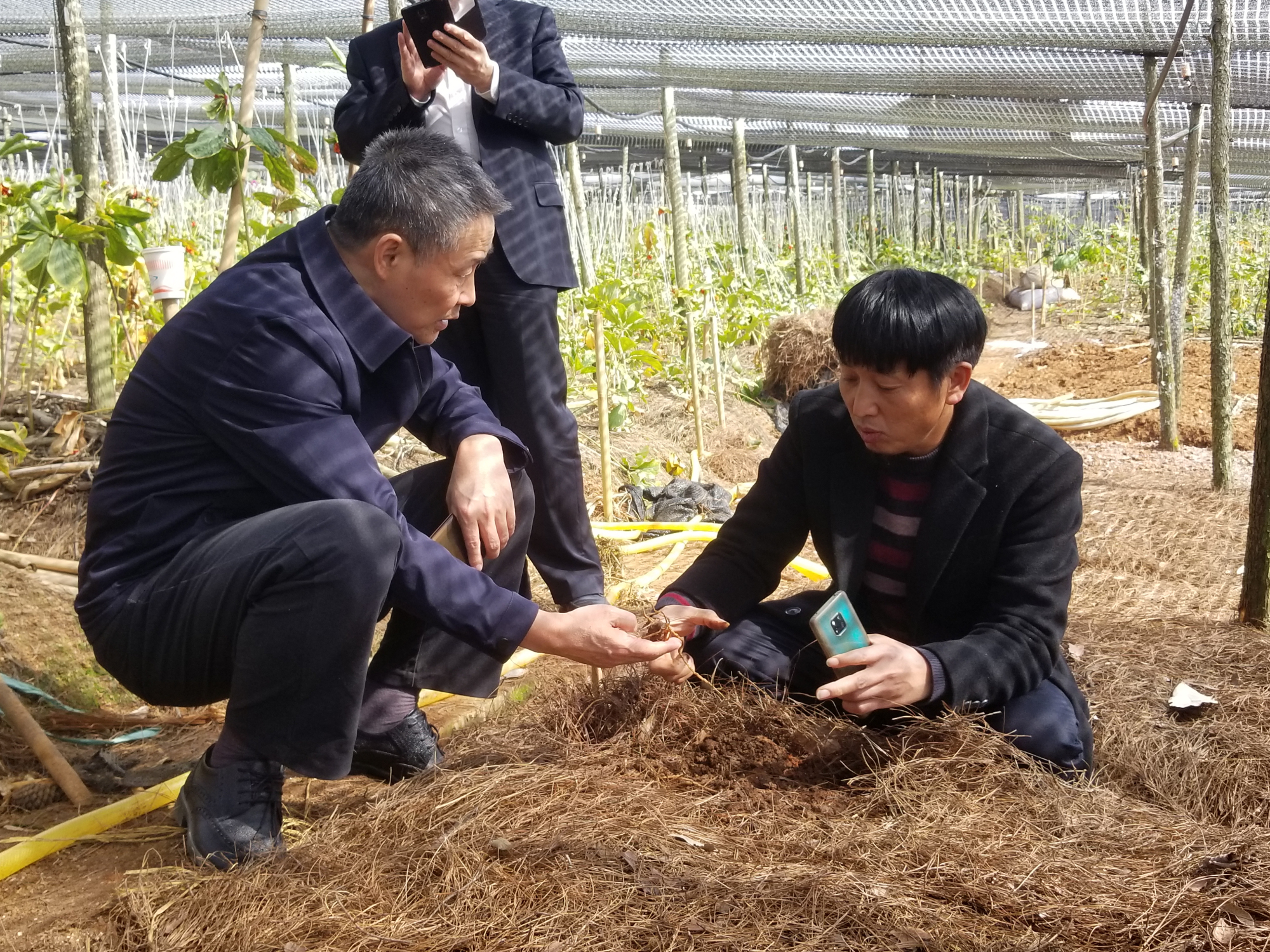 首页- Z6官网中国区人生就是博