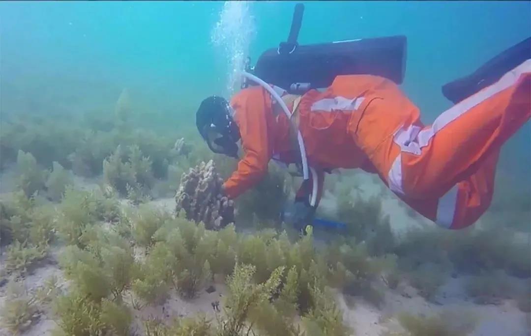 首页- Z6官网中国区人生就是博